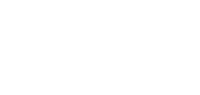 11 Cyber Services